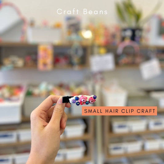 Small Hair Clip
